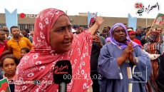 مدينة الداخلة…الوقفات الإحتجاجية مستمرة لليوم الثالث والبحارة يطالبون بإستئناف نشاط الصيد التقليدي