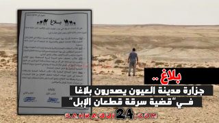 جزارة العيون يصدرون بلاغا فــي“قضية سرقة قطعان الإبل”