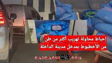 إحباط محاولة تهريب أكثر من طن من الأخطبوط بمدخل مدينة الداخلة
