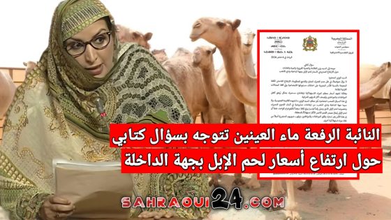 النائبة الرفعة ماء العينين تتوجه بسؤال كتابي حول ارتفاع أسعار لحم الإبل بجهة الداخلة