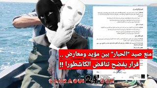 منع صيد “الحبار” بين مؤيد ومعارض .. قرار يفضح تناقض الگاشطورا