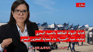 بلاغ .. كتابة الدولة المكلفة بالصيد البحري توقيف صيد “السيببا” جاء لحماية المخزون البحري