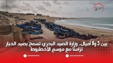 بين 3 و8 أميال.. وزارة الصيد البحري تسمح بصيد الحبار تزامنًا مع موسم الأخطبوط