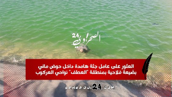 العثور على عامل جثة هامدة داخل حوض مائي بضَيعة فلاحية بمنطقة “العطف” نواحي العركوب