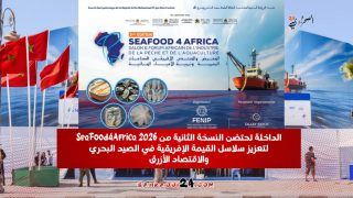 الداخلة تحتضن النسخة الثانية من SeaFood4Africa 2026 لتعزيز سلاسل القيمة الإفريقية في الصيد البحري والاقتصاد الأزرق